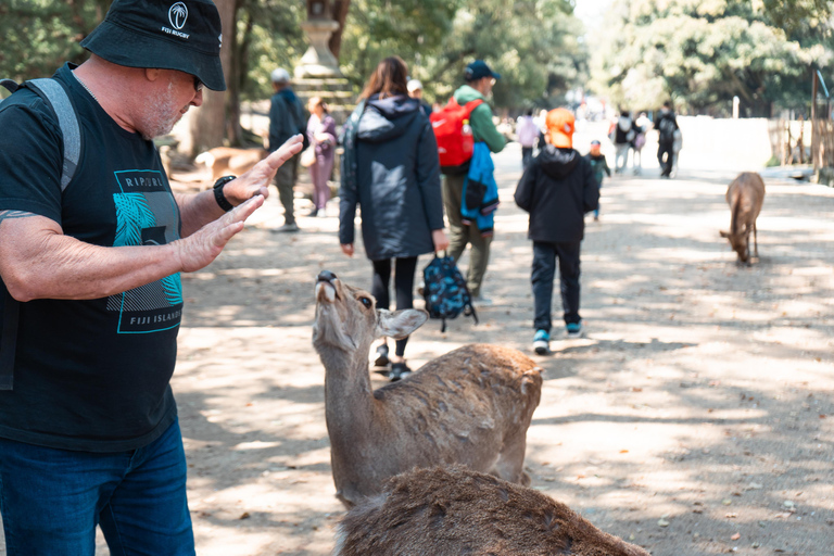 [Deer & Samurai History] Nara Guided Walking Tour+Photoshoot 3 Hours Walking Tour + Photo Service (small-group max. 6)