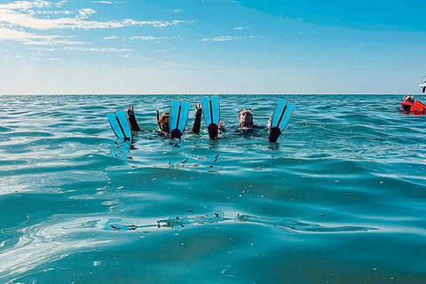 Boat Adventure: XXL Slides, Snorkeling, Activities, Lunch, and Pickup Boat Adventure: XXL Slides, Snorkeling, Activities, Lunch, and Pick-Up