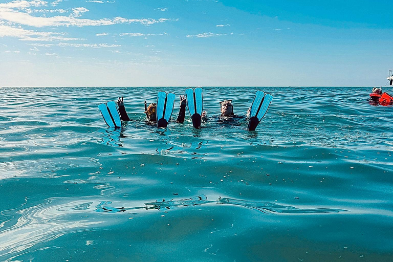 Boat Adventure: XXL Slides, Snorkeling, Activities, Lunch, and Pickup Boat Adventure: XXL Slides, Snorkeling, Activities, Lunch, and Pick-Up