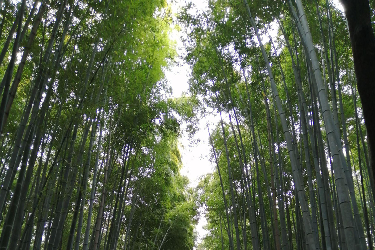 Kyoto & Nara: Private Cultural Journey with Guide & Pickup