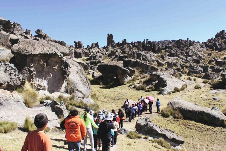 Huaraca - Explore the Enigmatic Stone Grove