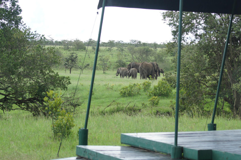 Vanuit Nairobi: Ol Pejeta Conservancy Hele dag tour