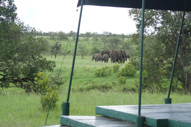 Z Nairobi: Całodniowa wycieczka do rezerwatu Ol Pejeta