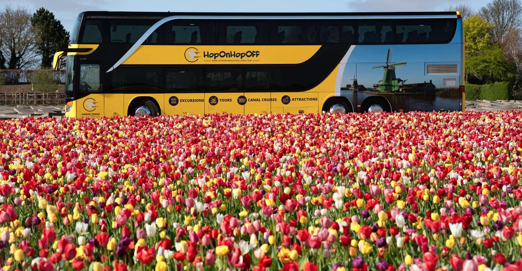 Amsterdam: Keukenhof Entry & Shuttlebus with Flexible Return photo 3