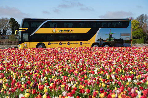 Da Amsterdam: Escursione di un giorno a Madurodam e ai Giardini di Keukenhof