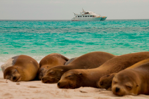 Explore Galapagos Standard Twin Cabin - Double Accommodation (Dec 11 - Dec 16)