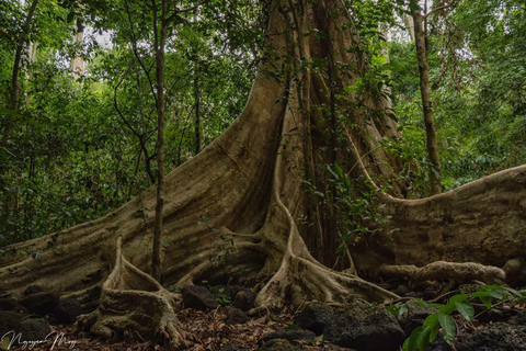 Cat Tien National Park Private 2-Day Tour With Female GuideFood, hotel are excluded