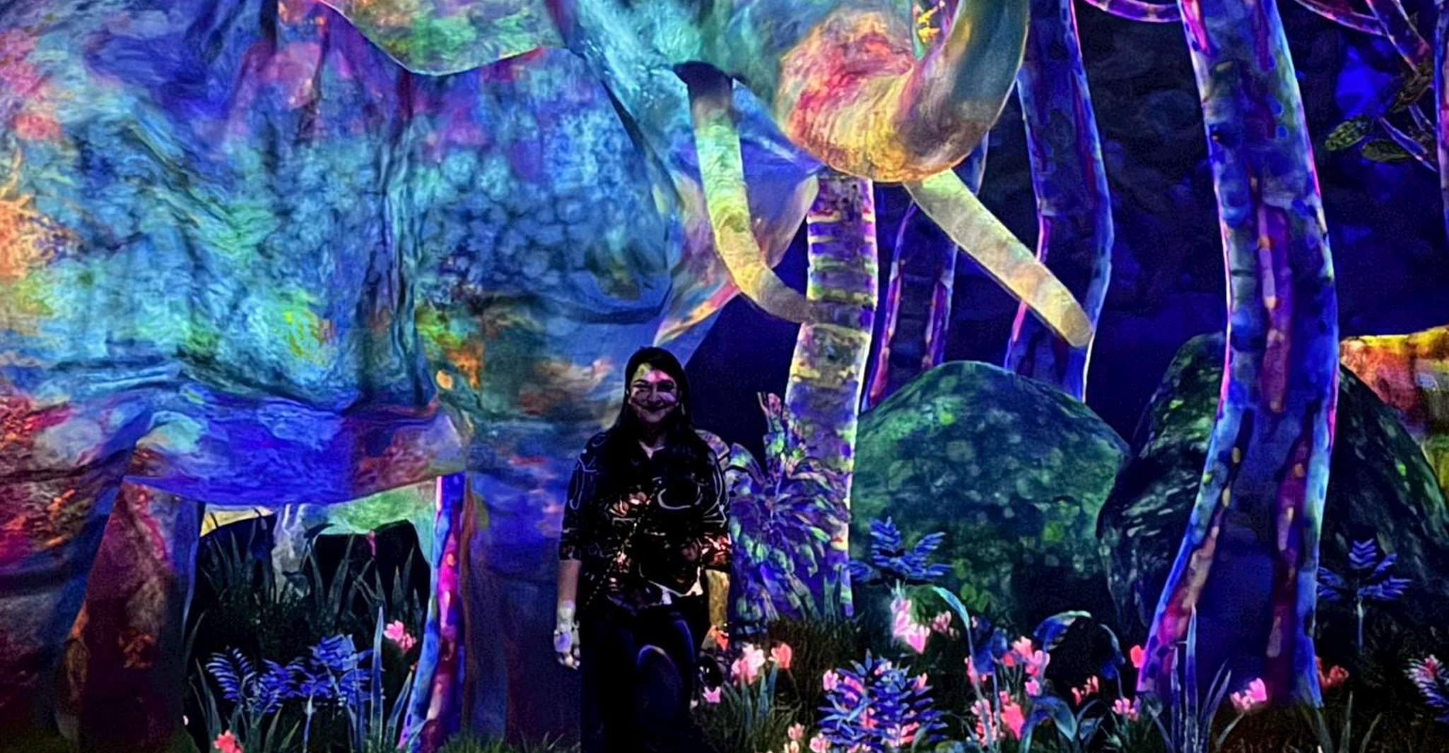 Tokyo: TeamLab Planets & Odaiba Gundam Bay Tour