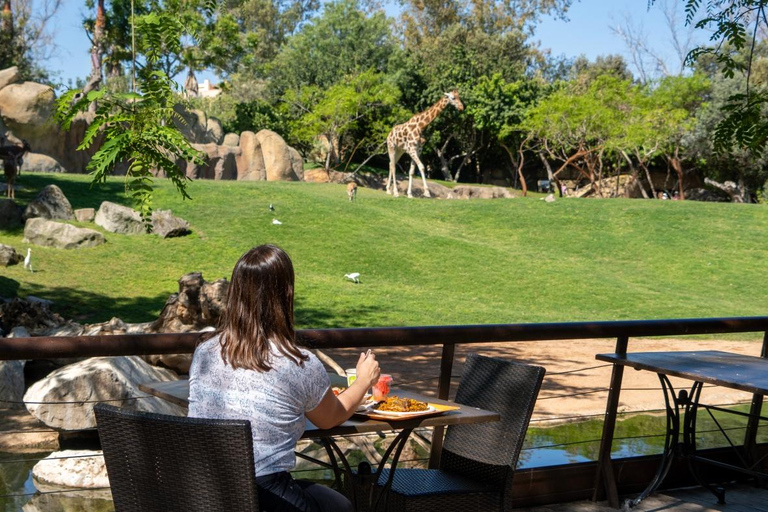 Valência: Ingresso para o Bioparque de Valência