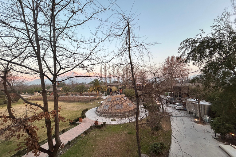 Aylan Family Wines | The Sunset Tour