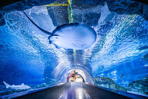 Modern Seoul Tour: Stylish Gangnam, Family-Friendly