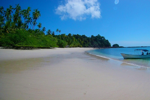 Excursão de 1 dia para mergulho com snorkel na Ilha Catalina