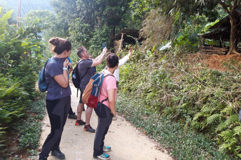 河内：乘坐豪华轿车往返蒲良从 Pu Luong 到 河内