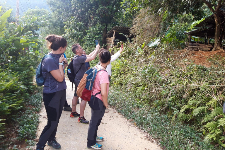 河内：乘坐豪华轿车往返蒲良从 Pu Luong 到 河内