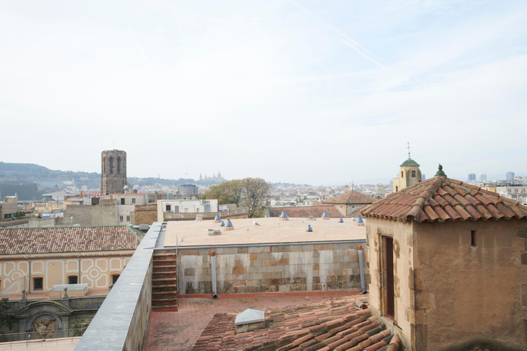 Barcelona Cathedral: Ticket, Guided Tour and VR Experience Barcelona Cathedral: Guided Tour In English