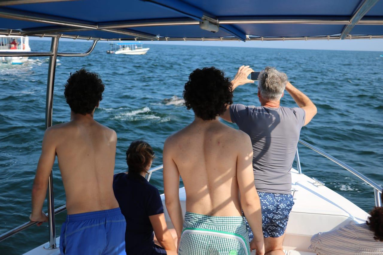 Muscat: tour in barca per l&#039;osservazione dei delfini