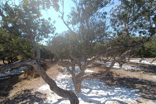 Samos: Landgänge
