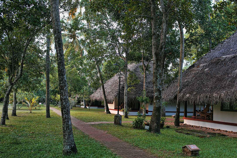 Z Kochi: 2-dniowa wycieczka na plażę Mararikulam