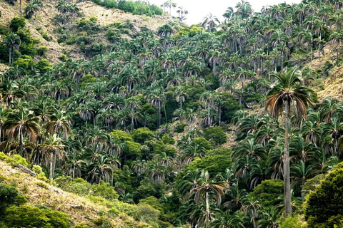 Sucre: 2 Days in El Palmar National Park & Yampara Villages
