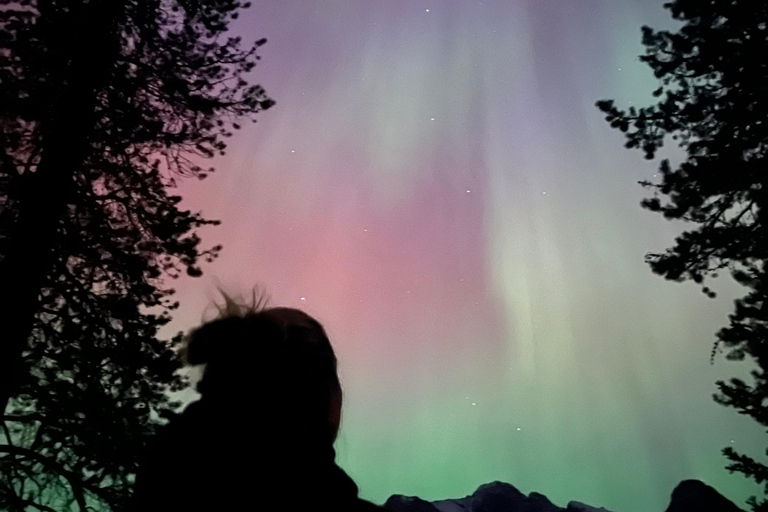 Banff/Canmore: PRIVATE Stargazing & Northern Lights Tour