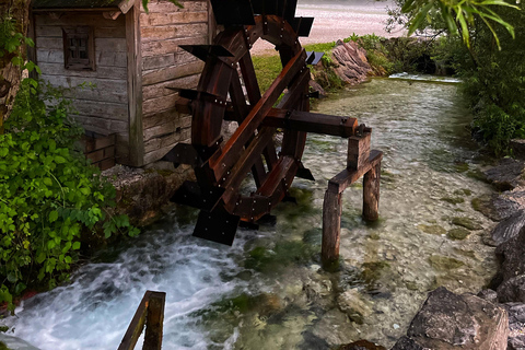 Ljubljana: Lake Bled, Bohinj, and Jasna Day Trip