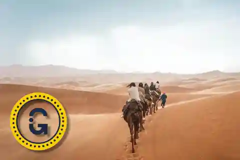 Desde Fez 3 Días 2 Noches Tour por el Desierto y Sandboarding