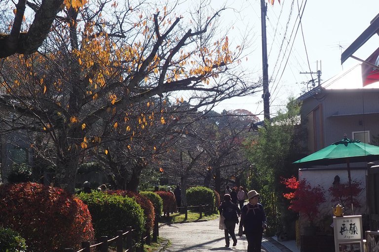 E-Bike Tour in Kyoto with Asuka, Japanese graduate student