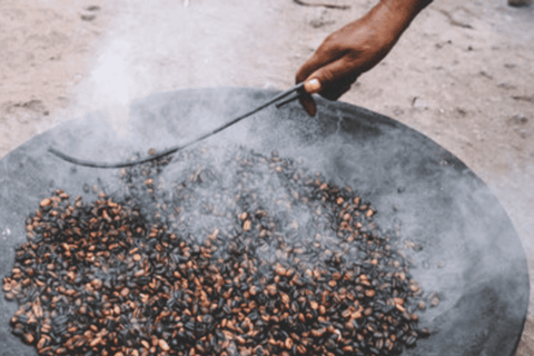 3-Day Coffee Farm & Local Culture Experience in Yirgalem