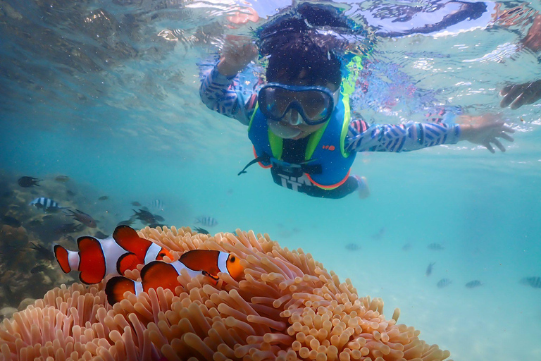 Pattaya/Rayong: Half day Snorkeling tour