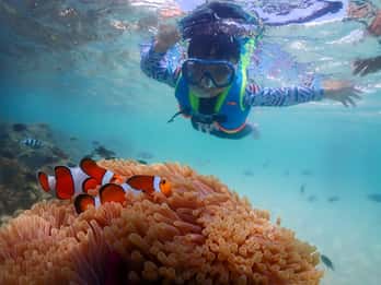Pattaya/Rayong: Half day Snorkeling tour