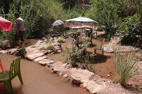 Agadir: Paradise Valley & Atlas Mountains Day Trip
