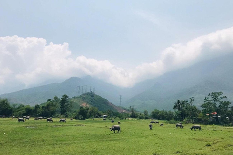 De Da Nang: excursão guiada de um dia a Hoi An com refeições