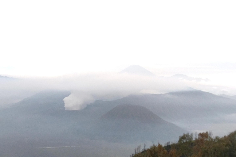 Excursión al monte Bromo y al cráter Ijen en 3 días