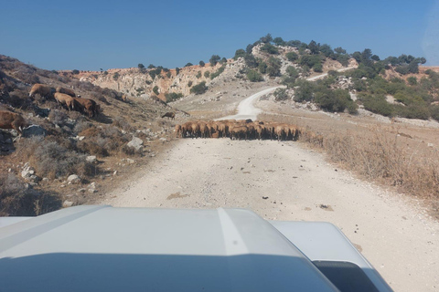 From Paphos/Polis: Akamas National Park by Jeep and Boat