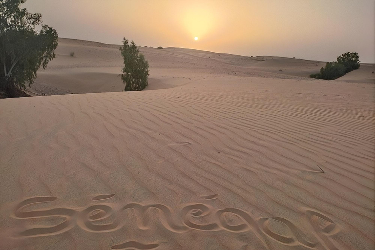Lompoul Desert: Guided Walk And Overnight Stay In The Desert
