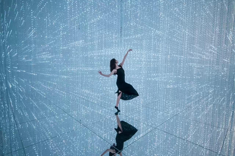 Macau teamLab SuperNature: Immersive Art Admission
