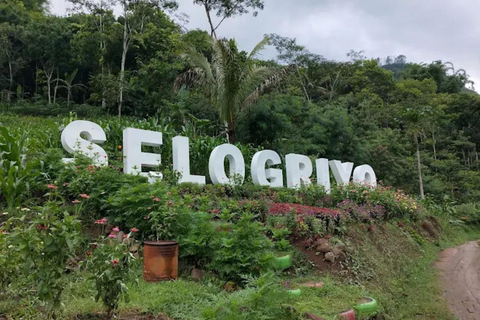 Avventura al Tempio di Selogriyo: trekking tra risaie e rafting sul fiume EloAvventura al tempio di Selogriyo: trekking nella risaia e rafting sul fiume Elo