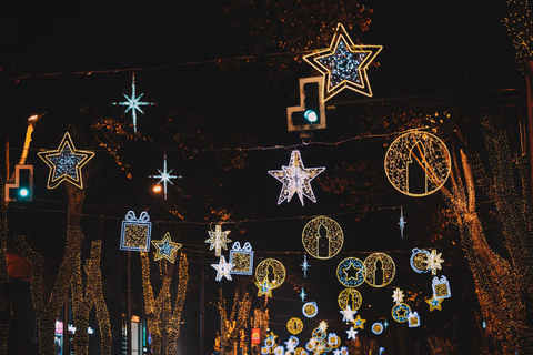 Tbilisi: Christmas Market & Lights Guided Walking Tour Private Tour