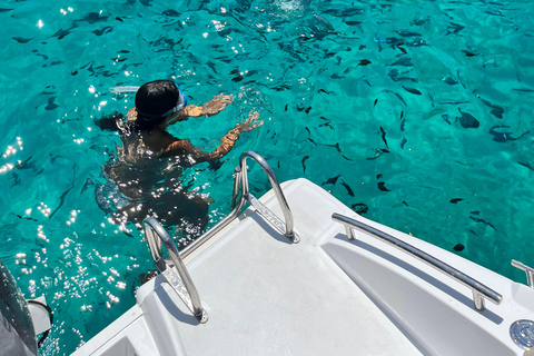 Malta: Comino, Blue lagoon Private Speed Boat Tour