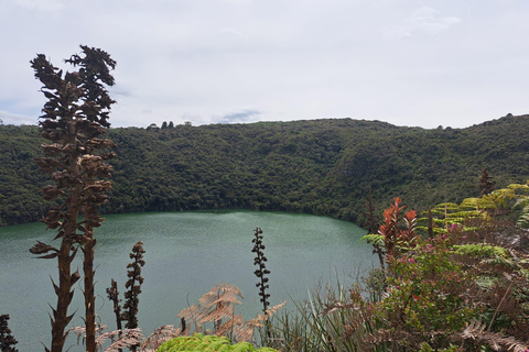 Salt Cathedral and Guatavita: An All-Inclusive Tour Salt Cathedral and Guatavita: An All-Inclusive Sightseeing Tour