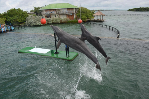 Full day in the Rosario Islands with lunch Cartagena