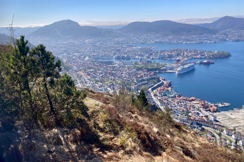 Bergen: Scenic Mountain Hike with Local Guide, Coffee&Snacks Bergen: Scenic Mountain Hike with LocalGuide, Coffee&Snacks