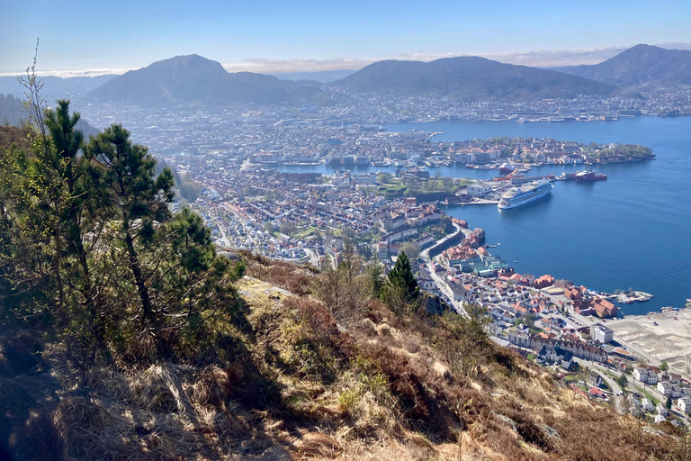 Bergen: Scenic Mountain Hike with Local Guide, Coffee&Snacks Bergen: Scenic Mountain Hike with LocalGuide, Coffee&Snacks