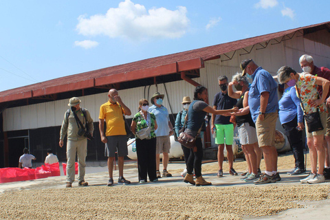 Tapachula: Argovia Coffee, Flowers, and Legacy Tour