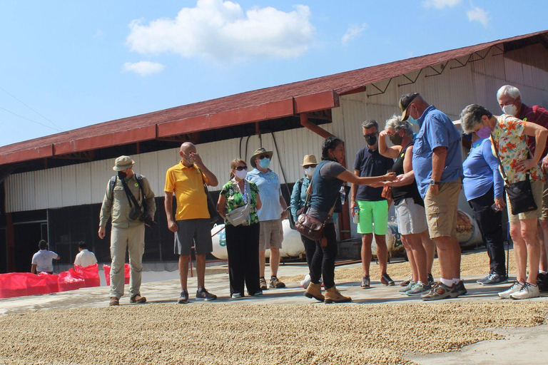 Tapachula: Argovia Coffee, Flowers, and Legacy Tour