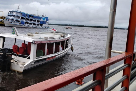 Private Tour of the Rio Negro/Natural Beauties of the Amazon