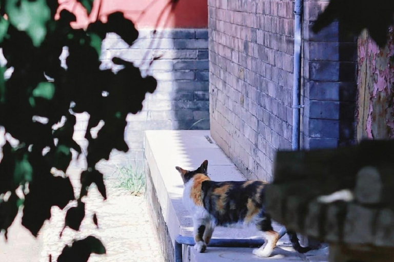 Hohhot Dazhao Temple Entry Ticket with Food & Route Tips