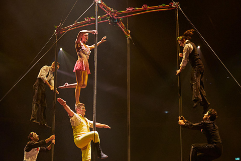 Cirque du Soleil LUDÕ — Vallarta Premium Balcony Experience: Show, Champagne, and Canapés