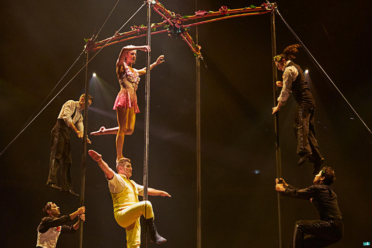 Cirque du Soleil LUDÕ — Vallarta Premium Balcony Experience: Show, Champagne, and Canapés