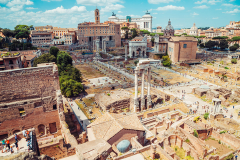 Roma: Tour guidato del Colosseo, dell&#039;Arena, dei Fori e del PalatinoTour di gruppo in italiano